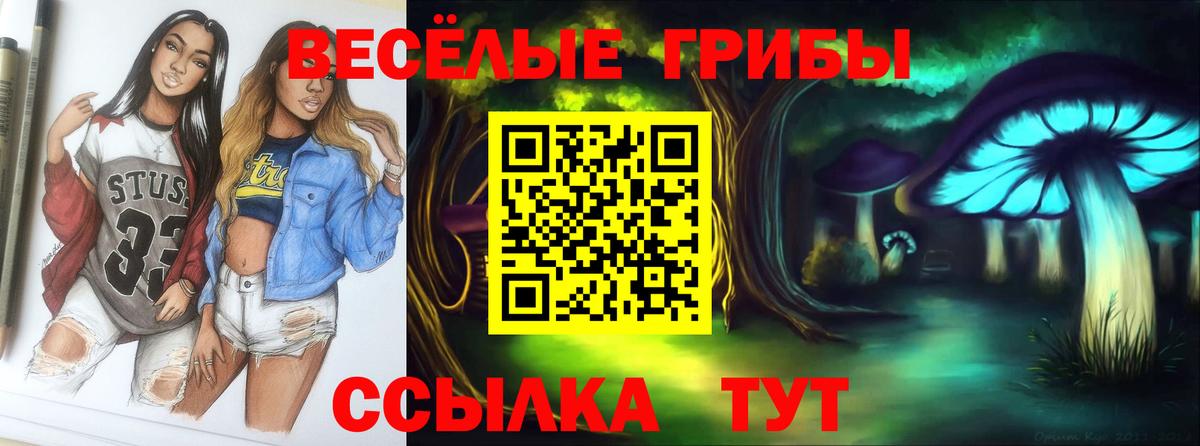 Псилоцибиновые грибы прущие грибы  Вход с VPN  Галлюциногенные грибы GOLDEN TEACHER  купить   Павлово 